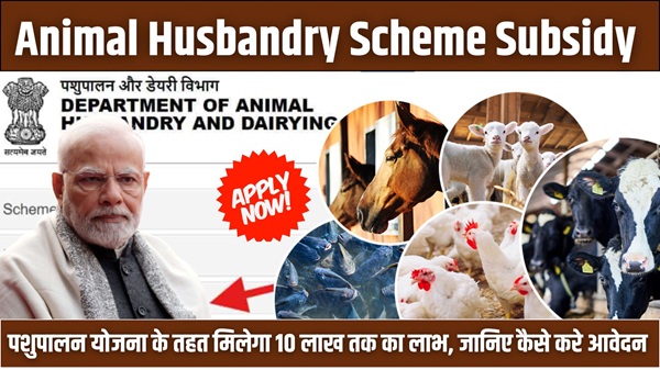 Animal Husbandry Scheme Subsidy