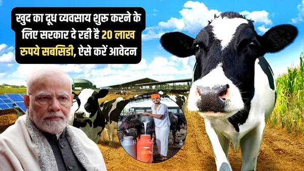 Dairy Farm Business 2025