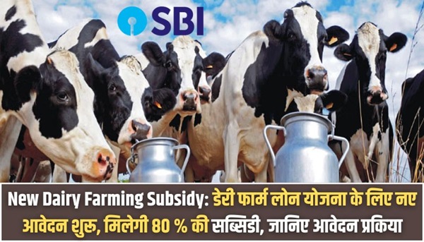 New Dairy Farming Subsidy