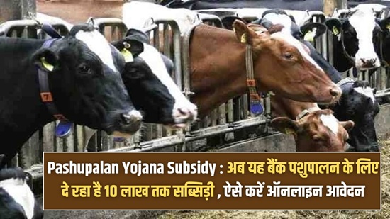 Pashupalan Yojana Apply Subsidy