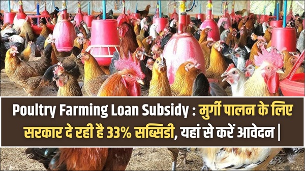Poultry Farming Loan Subsidy